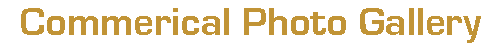 photo title